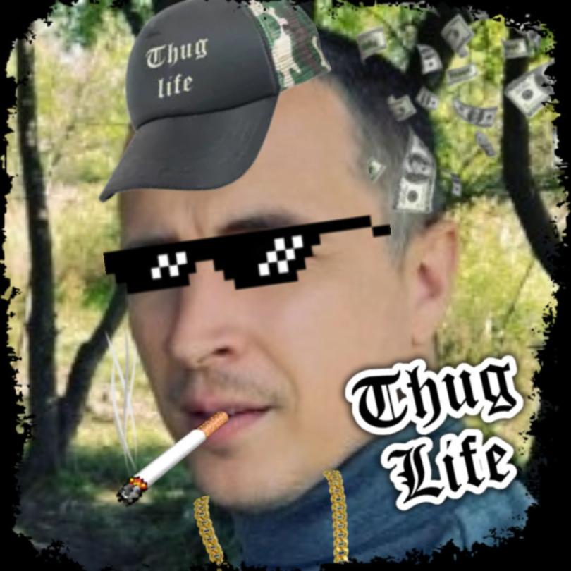 thug cat